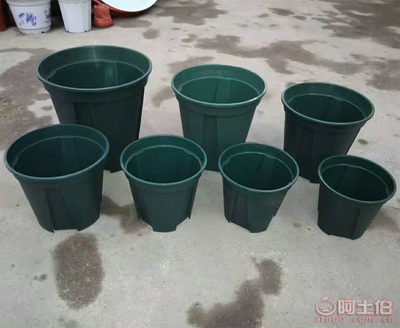 豫超青山控根盆 园艺爱好者的防烂根利器