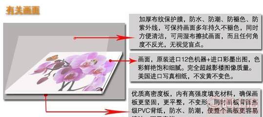 厂家混批客厅现代装饰画｜无框植物花卉挂画，打造自然雅居的批量之选