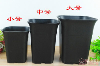 豫超 慧选黑方万象盆，助力多肉根系健康生长